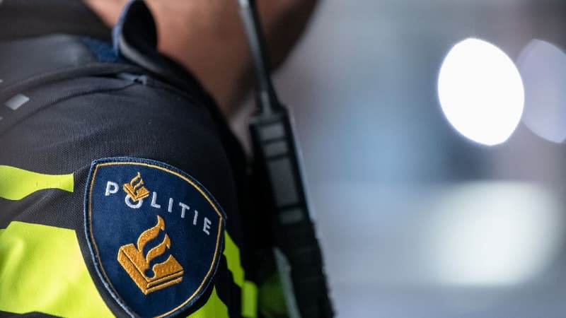 Foto bij: Politie zoekt getuigen na reeks auto-inbraken en laadkabel diefstallen in gebied Maas en Rotte